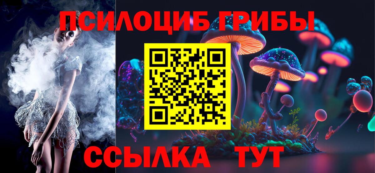 Псилоцибиновые грибы Magic Shrooms  Вход с VPN  купить закладку  Псилоцибиновые грибы Magic Shrooms  Владивосток 